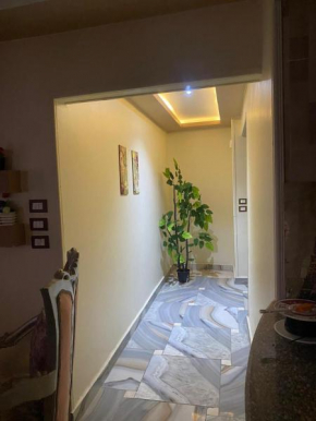 شقق فندقية للإيجار اليومي